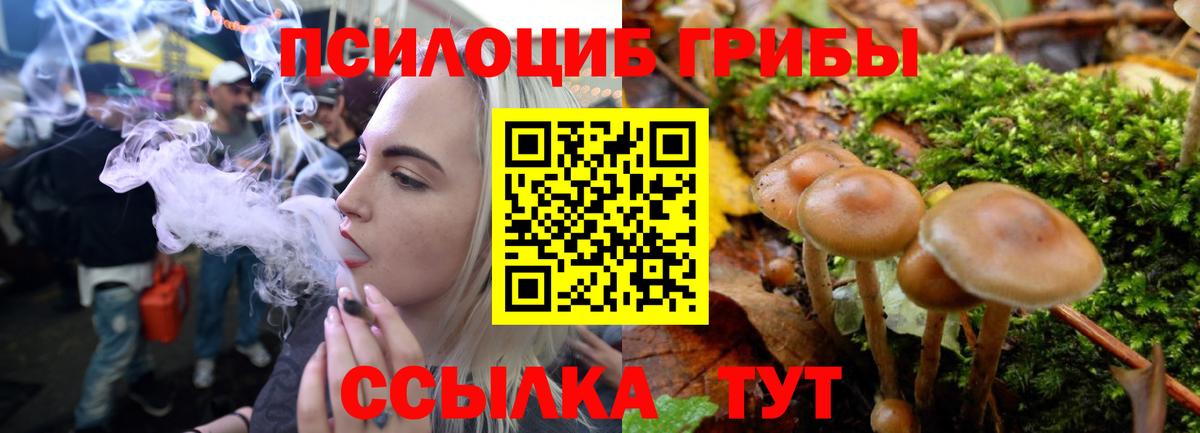 Можайск  Галлюциногенные грибы Psilocybine cubensis  Галлюциногенные грибы мицелий  Вход с VPN 